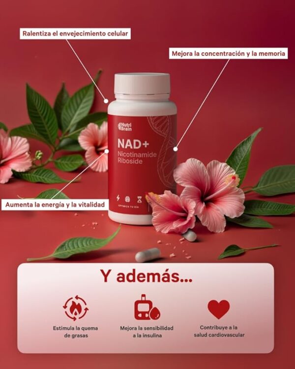 NAD+ Alta Absorción 300mg Nicotinamide Riboside - Imagen 6