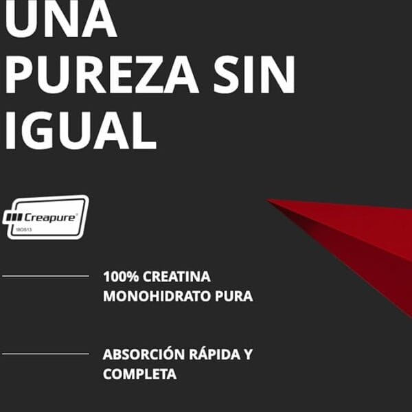 Creatina Creapure (300G) Prozis - Imagen 4