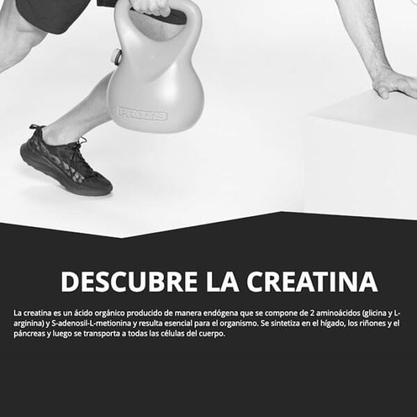 Creatina Creapure (300G) Prozis - Imagen 2