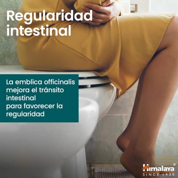  Triphala - Imagen 3