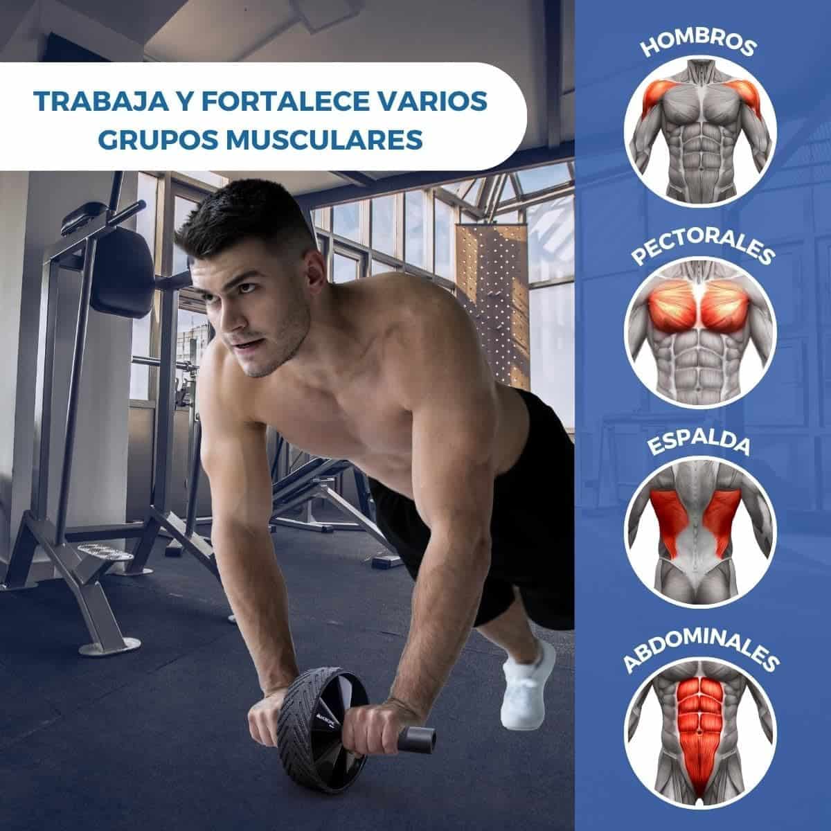 Rueda para abdominales - Imagen 2