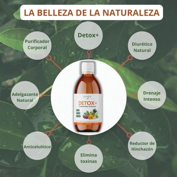 Detox Drenante y Diureticos Retencion de Liquidos Anticelulitico - Imagen 2