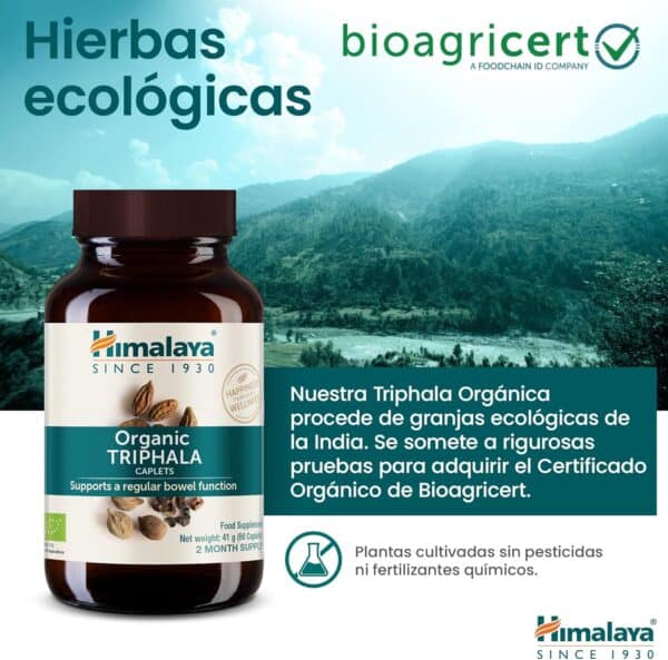  Triphala - Imagen 8